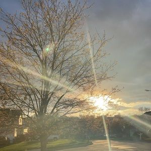 Meet your Posher, Tionah